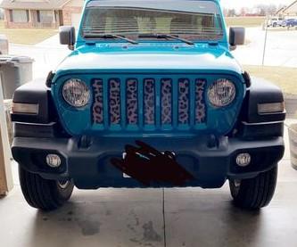 Platinum Gray Leopard Print Grille Insert