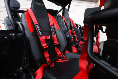 RZR 1000 XP/ XP S Harness Kit (2024+)