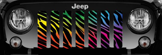 Rainbow Zebra Print Grille Insert