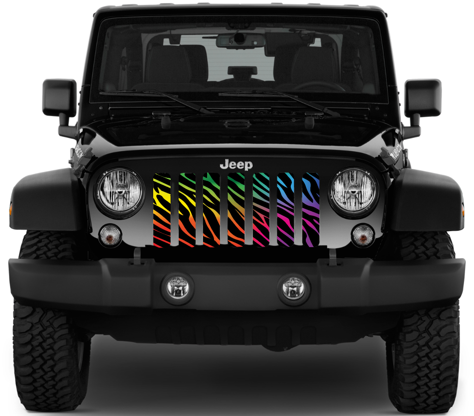 Rainbow Zebra Print Grille Insert