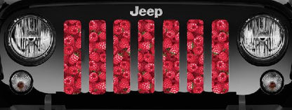 Raspberry Fields Grille Insert