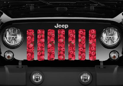 Raspberry Fields Grille Insert